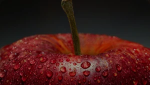 Refrigerated Shipping (Reefer)